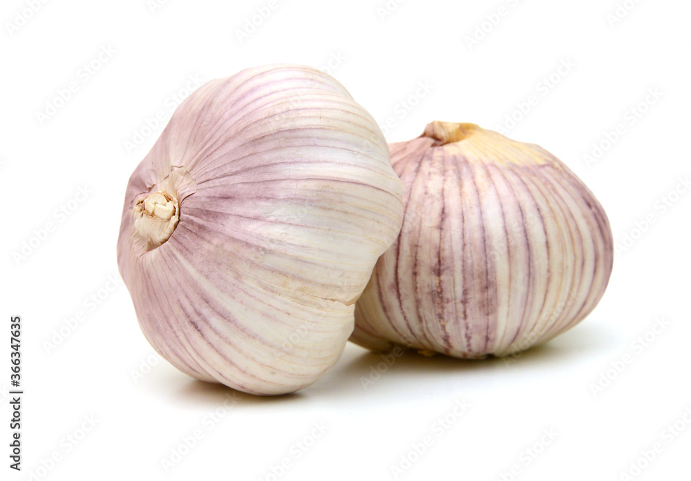 Garlic. Group isolated on white background.