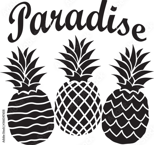 pineapple on a white background
