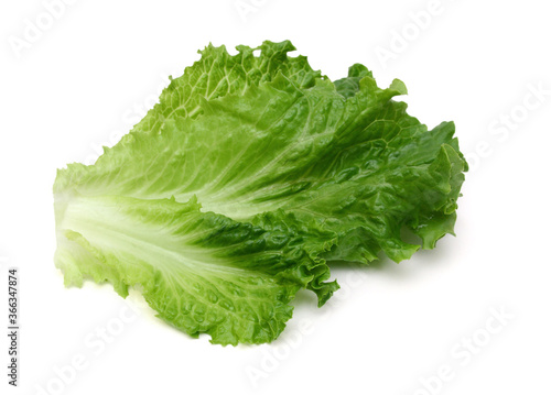 Bunch of fresh green salad isolated over white