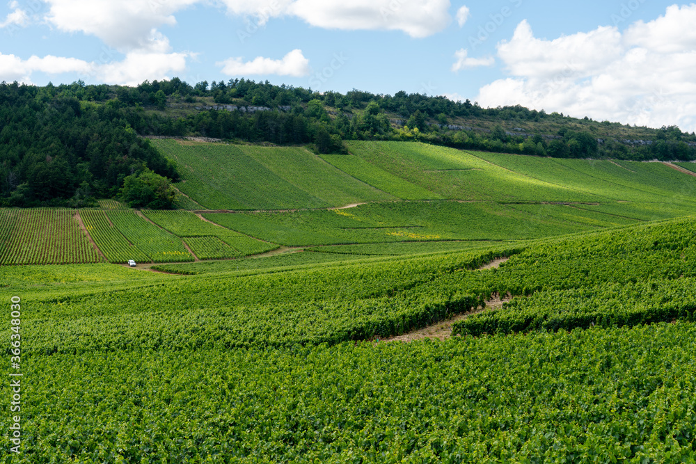 Route des Vins de Bourgogne