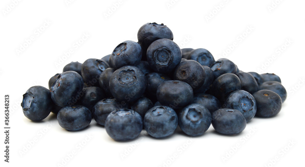Blue berry on white background 