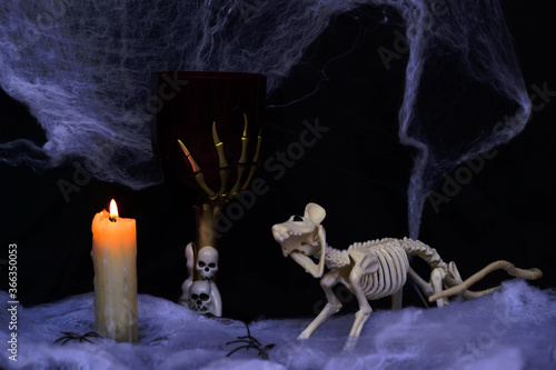 halloween illustration of a ghost