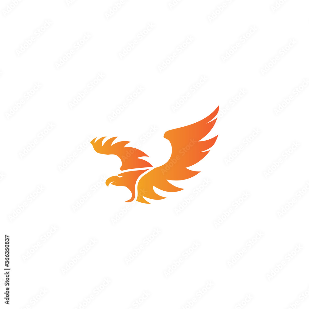Fototapeta premium Falcon Logo Template vector