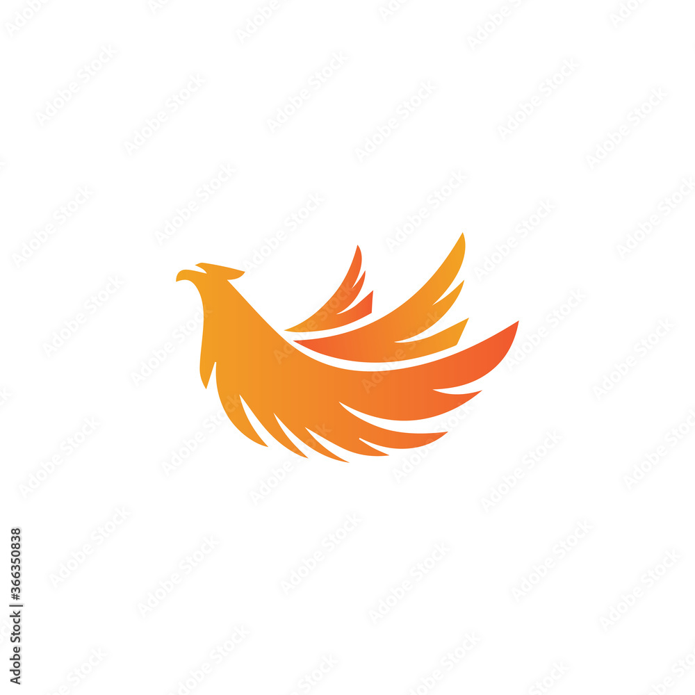 Fototapeta premium Falcon Logo Template vector