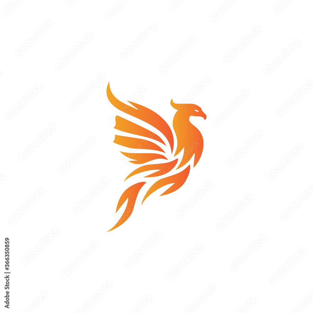 Obraz premium Falcon Logo Template vector