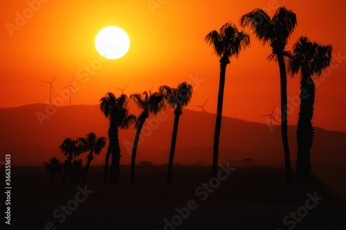 Overall view of wind power generators on the background of sunset over dry salt lake in Cyprus Larnaca in summer