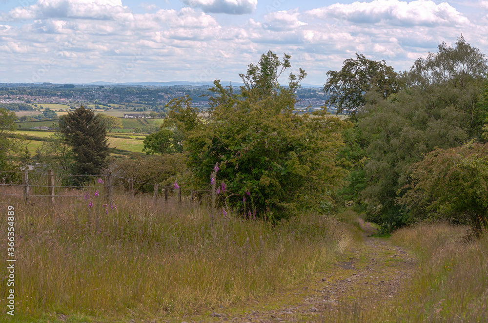 Path back to the valley.