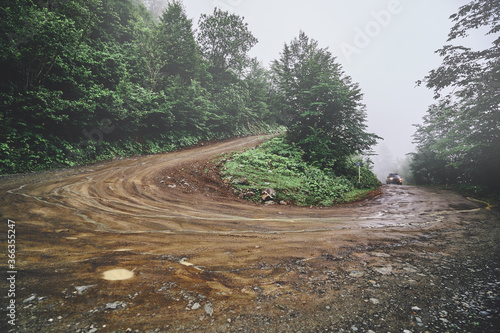 Landscape of serpentine dirt road in forest during rainy foggy weather photo