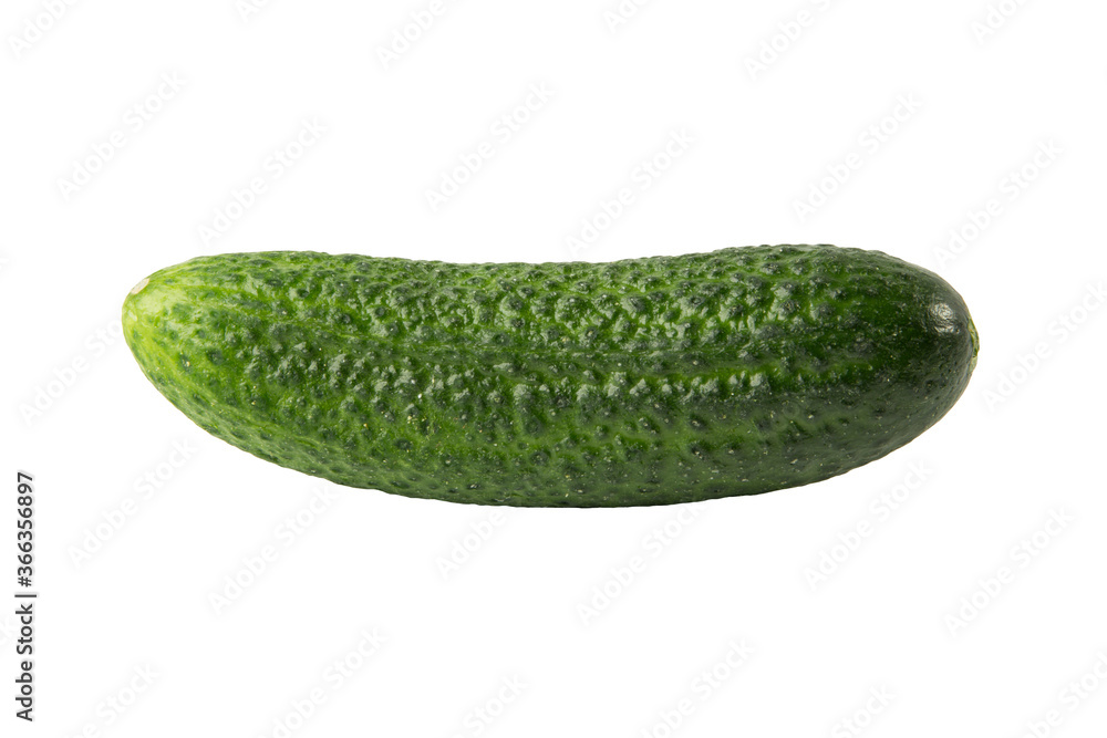 Fresh cucumber isolated on white background Fresh cucumber isolated on white background