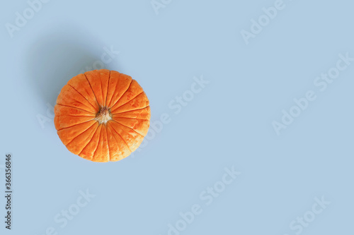 Top view of a juicy pumpkin on a pastel blue background. Autumn  fall  halloween concept. Trend shadow  copy space.