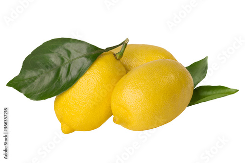 Fresh lemons with leaves isolated on white background