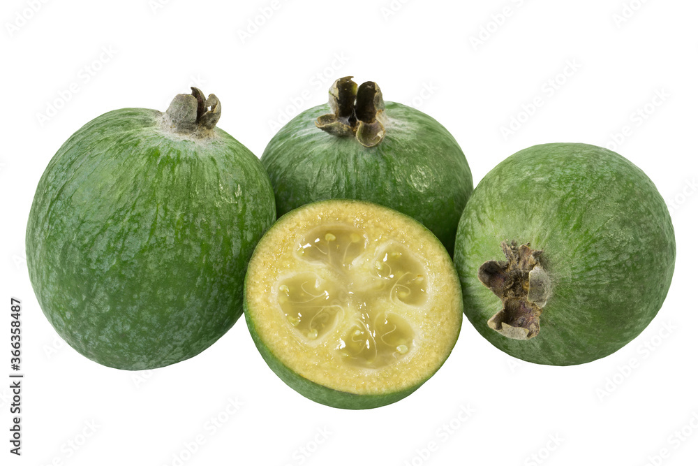 Feijoa isolated on a white background close-up. Feijoa isolated on a white background close-up.