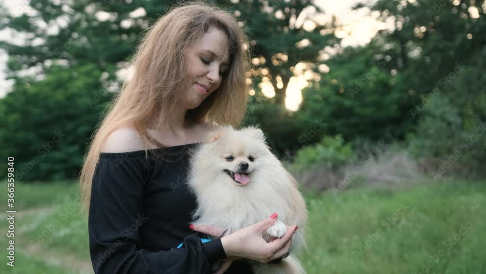Adorable spitz dog that is caressed by his owner. Blond haired young woman in a black suit holds the dog in her arms during the walking in the park. Animal care concept Adorable spitz dog that is caressed by his owner. Blond haired young woman in a black suit holds the dog in her arms during the walking in the park. Animal care concept