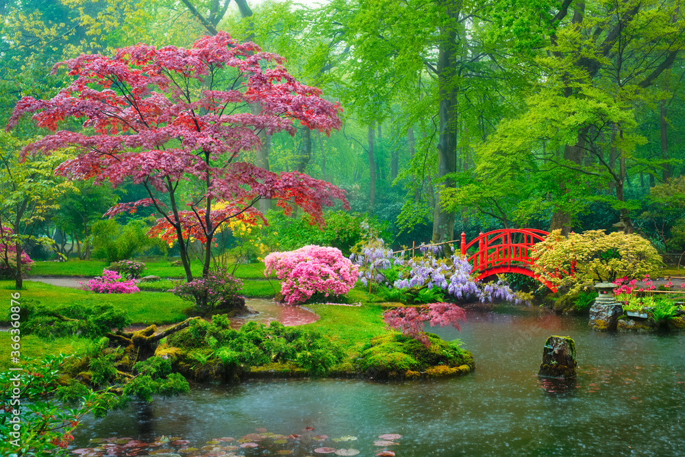 Lac, Plante Verte, Arbre, Herbe Dans Le Jardin Japonais De Zen Photo stock  - Image du sapins, jardin: 73019544