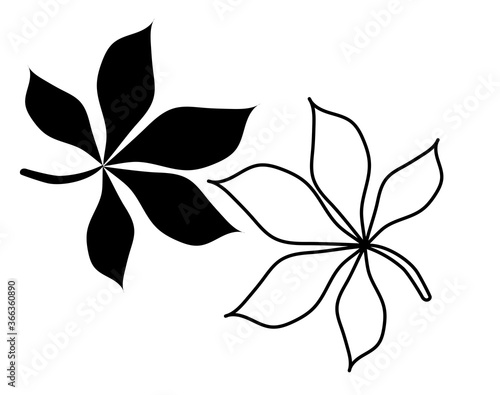Botany. Vector drawing of a leaf of a chestnut tree. Black outline and silhouette. Element for design and decor, logo. Vector illustration, doodl. Isolated on white background