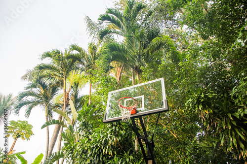 Basketball Hoop outdoors in tropical area trees and palnts in background