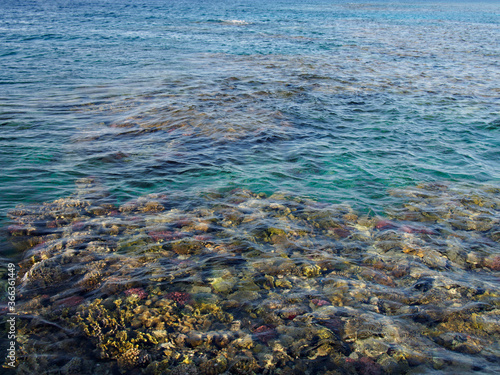 Water sea surface with coral reefs background © vkilikov