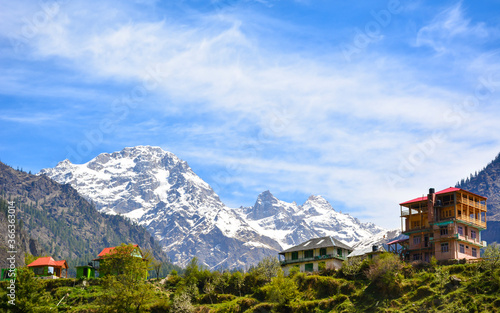 Wallpaper Mural Mountain village on the top of Tosh Valley in Himachal Torontodigital.ca
