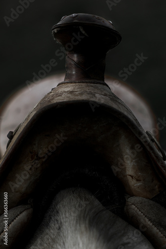 Fotografie montadura de caballo