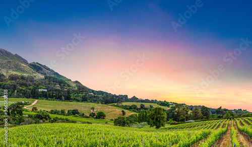 Constantia wine valley a view from constantia glen wine estate cape town South Africa