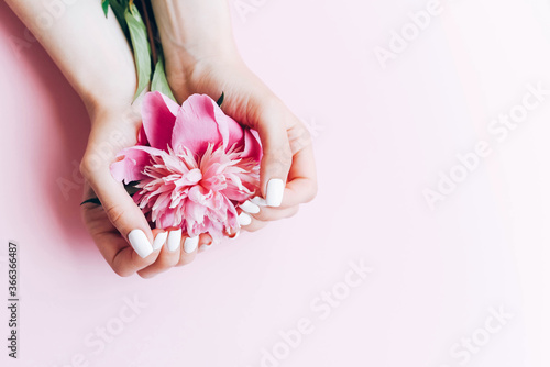 Female hands with white manicure hold a peony.
