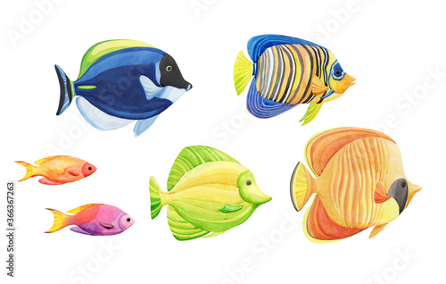 Watercolor colorful sea fishes set isolated on white background.