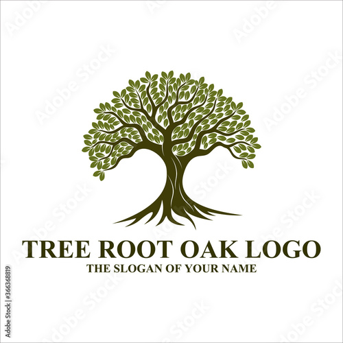 Root Of The Tree logo illustration. Vector silhouette of a tree, Abstract vibrant tree logo design, root vector - Tree of life logo design inspiration isolated on white background, 