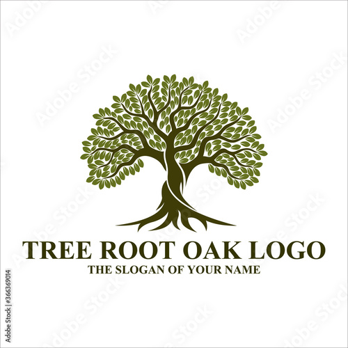 Root Of The Tree logo illustration. Vector silhouette of a tree, Abstract vibrant tree logo design, root vector - Tree of life logo design inspiration isolated on white background, 