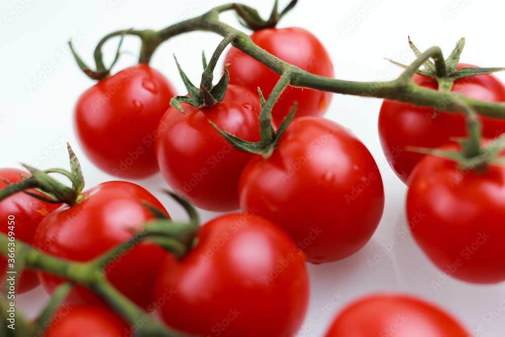 tomatoes cherry on a white background