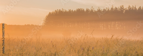 Early morning fog in rural environment
