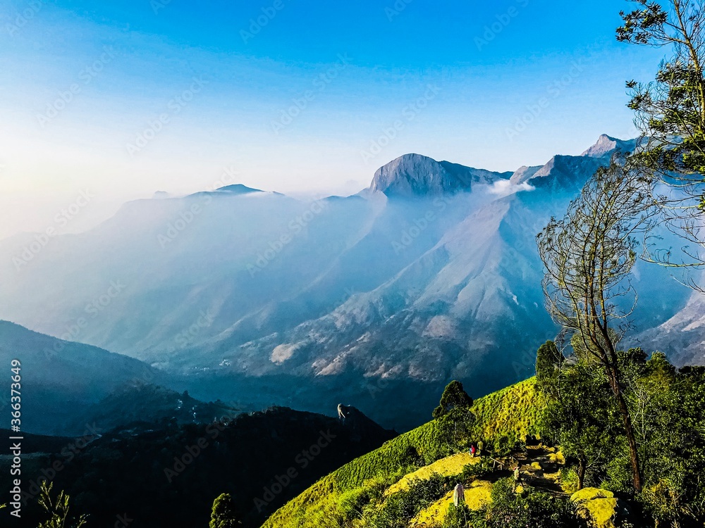 Fototapeta premium This beautiful landscape was captured in munnar during dawn.