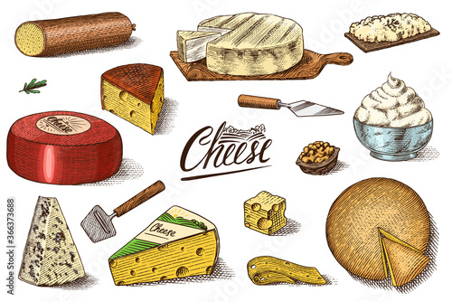 Cheese set. Slices of Mascarpone Bleu de Gex Edam Camembert Mozzarella for market or grocery store. Cheeseboard and Fresh organic milk. Vector Engraved hand drawn sketch for label, poster or menu.
