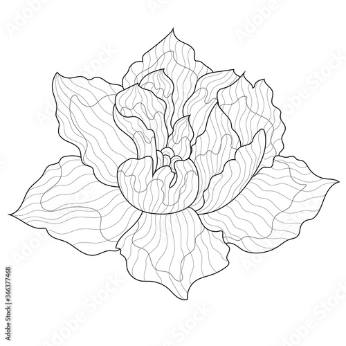 Peony flower.Coloring book antistress for children and adults. Zen-tangle style.Black and white drawing