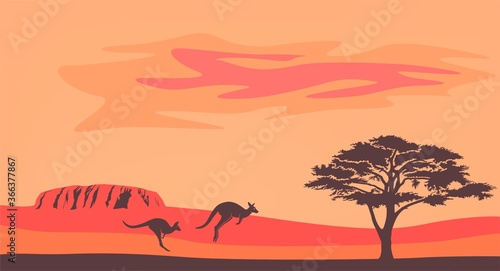 Australian landscape with kangaroo and acacia