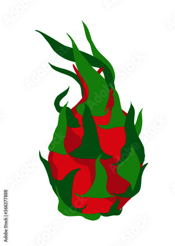 fruit the dragon, vector illustration and background