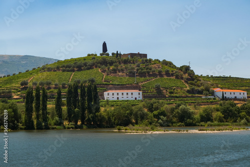 Beautiful Panoramic view of The Valley of the River Douro, Portugal - Port Wine Vineyards Region with Man-made Terraces on Green Hills Slopes