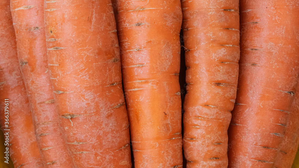 Close-up view of fresh and sweet orange carrots. Texture background of fresh large orange carrots. Product Image Vegetable Root Carrot. Space for text. Close-up view of fresh and sweet orange carrots. Texture background of fresh large orange carrots. Product Image Vegetable Root Carrot. Space for text.