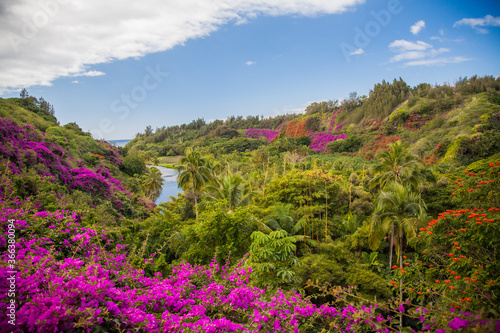 botanical gardens near Poipu  Kauai  Hawaii