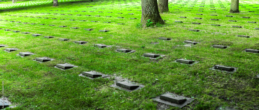 Obraz premium Gravestones in the Grass from WWII