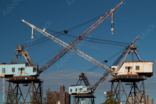 Dancing Crane with nyc background