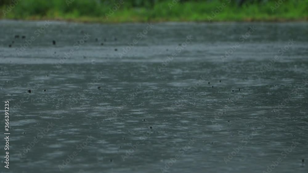 道路に降る雨 大雨 豪雨 イメージ 道路に降る雨 大雨 豪雨 イメージ