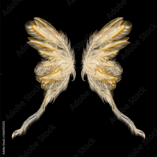 Butterfly wings with feathers. Modern  abstract art Golden Feather. Vector illustration.