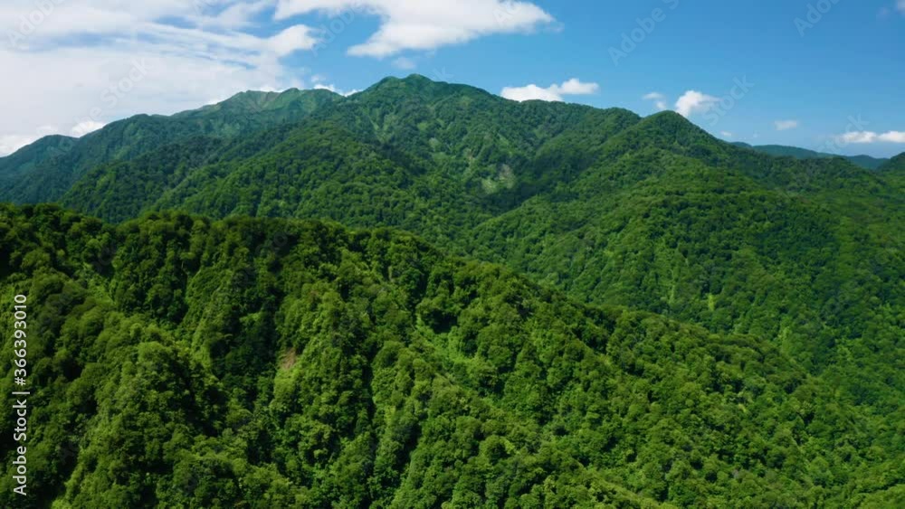 新緑の白神山地空撮 新緑の白神山地空撮