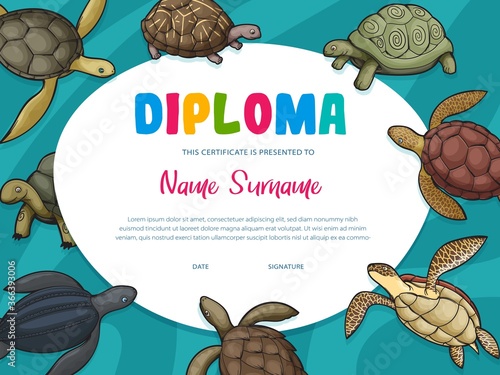 Diploma certificate of kids education vector template. Diploma of school, preschool or kindergarten graduation and achievement award with frame of turtles, water and terrapin reptiles background