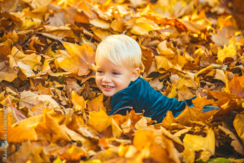 Autumn child have fun and lying on fallen golden leaves, leaf fall. Autumn child have fun and lying on fallen golden leaves, leaf fall.