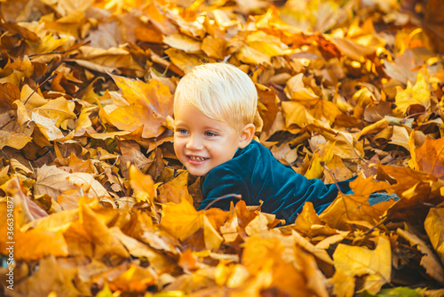 Autumn child have fun and lying on fallen golden leaves  leaf fall.