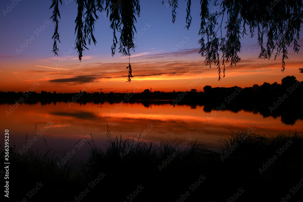 Naklejka premium Symmetry of the sky in a lake at sunrise. Clouds reflecting on the water. Holiday landscape by the sea. Quiet relaxing scene with a beautiful colorful sky. Silhouette of weeping willow.