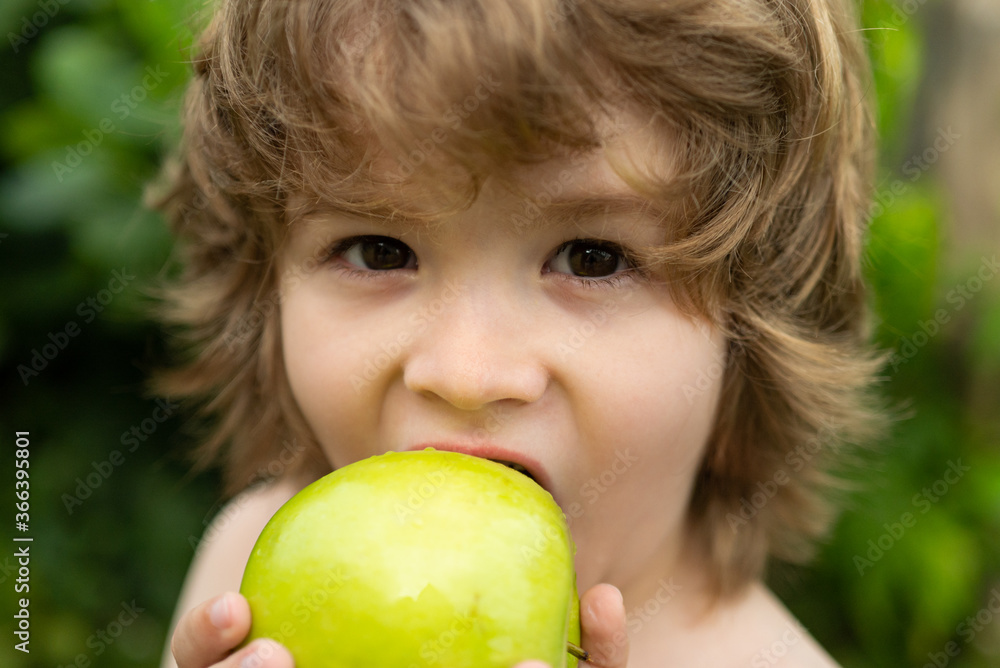 Kids eating apple. Little boy biting apple in sunny garden. Healthy nutrition for kids. Solid food for infant. Kids eating apple. Little boy biting apple in sunny garden. Healthy nutrition for kids. Solid food for infant.
