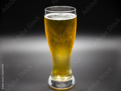 Fotomural A fresh pint of India Pale ale IPA craft beer served in a cold pint glass at a b