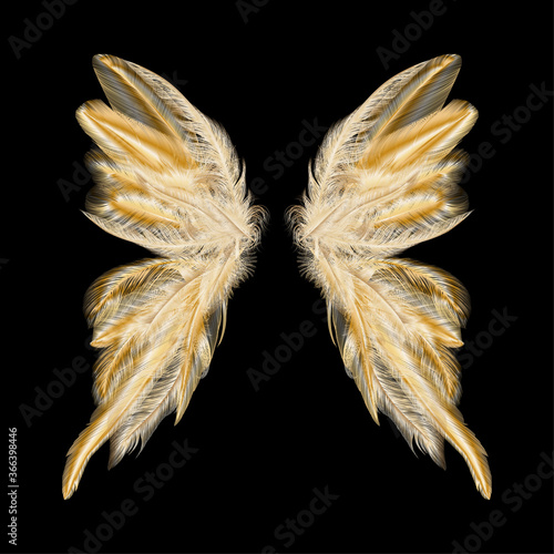 Butterfly wings with feathers. Modern  abstract art Golden Feather. Vector illustration.